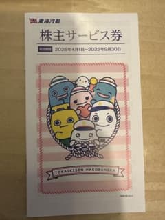 東海汽船 株主サービス券 2025年のサムネイル