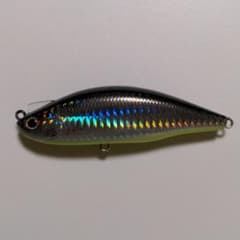 モアザン　レイジーファシャッド100Sのサムネイル