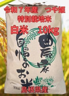 令和7年産 つや姫 特別栽培米（減農薬＋減化学肥料） 白米 10kg 島根県産のサムネイル