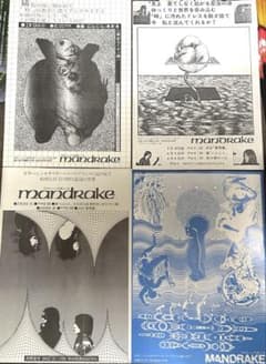 MANDRAKE マンドレイク　フライヤー　チラシ　４枚セット MANDRAKE マンドレイク フライヤー チラシ 4枚セット - メルカリ