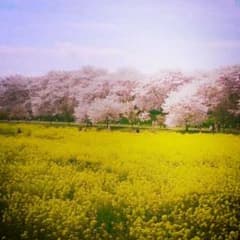 しずく様専用☆のサムネイル