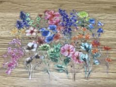 花　フラワー20枚　コラージュ素材　透明ステッカー　おすそわけ　紙モノ　ランダムのサムネイル