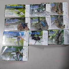 原色日本昆虫図鑑Ⅰ13種(シークレット2種入りマイマイ、ニイニイ赤色型
