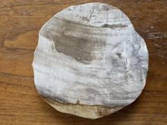 amabro WOOD COASTER Natural 珪化木のサムネイル
