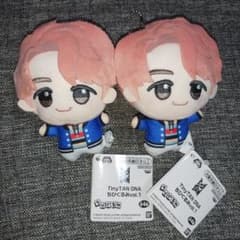 TinyTAN DNA ちびぐるみ 2点セット BTS - メルカリ