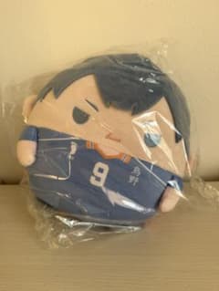 影山飛雄 ハイキュー‼︎くじメイト ぬいくじ C賞 ふわコロりん Msize
