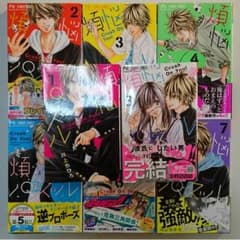 «送料込»煩悩パズルのサムネイル