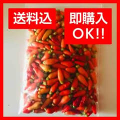 【おためし今すぐ便】宮古島産島とうがらし 80グラムのサムネイル