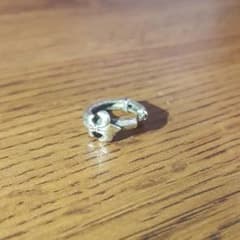 ローリーロドキン　ピアス　Loree Rodkinのサムネイル