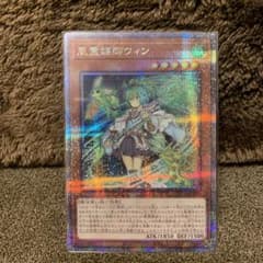 風霊媒師ウィン　25th プリシクのサムネイル