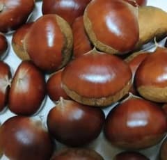 丹波栗　１kg　丹波篠山産のサムネイル