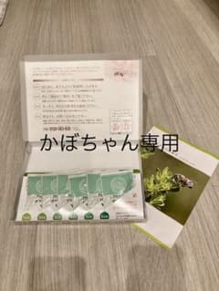 山田養蜂場 プロポリス粒のサムネイル