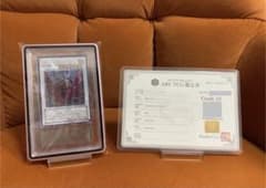 ARS10 ars10鑑定書付き】 ブラックローズドラゴン レリーフ - メルカリ