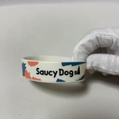 Saucy Dog ラバーバンドのサムネイル