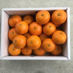 瀬戸内タンカン(5Kg)のサムネイル