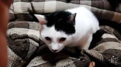 すみしゃん専用のサムネイル