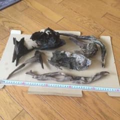 値下しますた。流木7点+ミクロソリウムのサムネイル