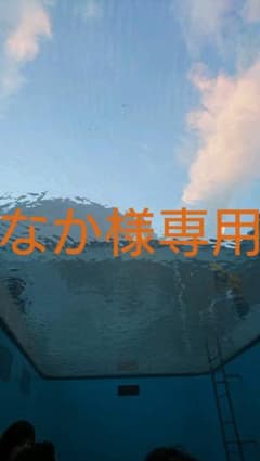 なか様専用です。のサムネイル