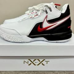 Nike レブロン #バッシユ #ナイキ 箱付き Lebron/Lebron James(レブロン/レブロン ジェームズ) 人気の新作