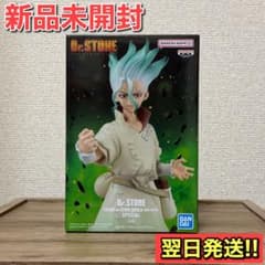 Brand New Dr.STONE FIGURE The Science of Sculpting SPECIAL Ishigami Senku A