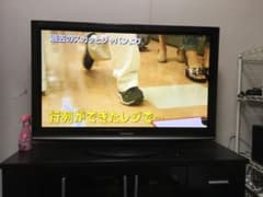 テレビ パナソニック 45型のサムネイル