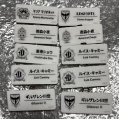 にじさんじ にじフェス2025 ネームバッジ Bグループ 10点のサムネイル