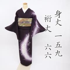 付下げ】刺繍 エレガント 花唐草 袷着物 黒紫色 25S27 - メルカリ