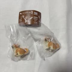 ふんばりーぬ3 コーギーのサムネイル