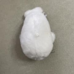 あざらしのサムネイル