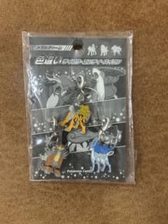 ポケモンセンター 色違いライコウ エンテイ スイクン メタルチャーム