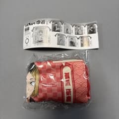 하이큐 건착 여우 손톱 연마