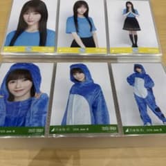 乃木坂46 6種コンプ 池田瑛紗 真夏の全国ツアー福井 福井県verコーデ