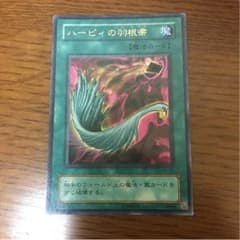 ハーピィの羽箒のサムネイル