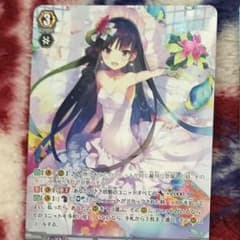 大いなる飛躍 リディ SP ヒカルさん専用のサムネイル