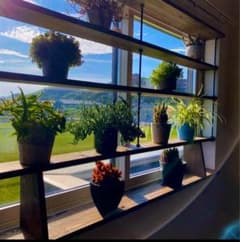 TVにて紹介されました 突っ張れて倒れない　窓枠ラック　tasty 3 TVにて紹介されました 突っ張れて倒れない 窓枠ラック tasty