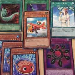 わたる様専用のサムネイル