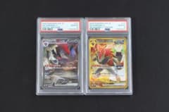 希少連番】Nのゾロアークex SAR ＆ UR エラーカード PSA10 - メルカリ