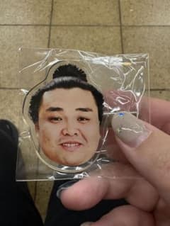 大相撲 相撲 お相撲さんのフェイスヘアピン ヘアピン 霧島のサムネイル
