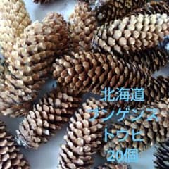 きんちゃん様 リクエスト 3点 まとめ商品のサムネイル