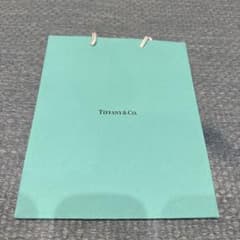 TIFFANY&CO. ショップ袋 ショッパーのサムネイル