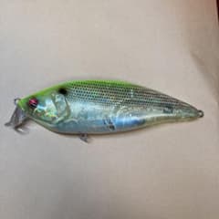 コノシラスシャッド fのサムネイル