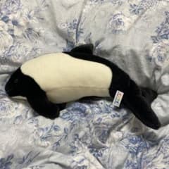シャチぬいぐるみのサムネイル