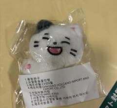 &TEAM マスター ぬいぐるみ YUMA ユウマ - メルカリ