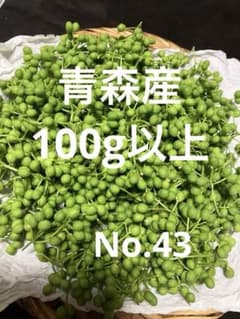 青森県産 山椒100g 43天然 山椒の実 100g以上 採りたて 青森産 - メルカリ