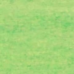 専用のサムネイル