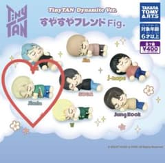 TinyTAN 스야스야 친구 Fig BTS [지민] 뽑기