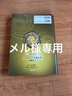 カタカムナ生命の書 - メルカリ