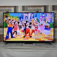 うすらはげ。さん専用直接受渡アイリス65V型 4K対応 液晶テレビ 65U