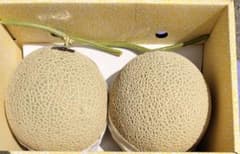 C*a様 高知産　温室マスクメロン　６玉　約９，０Kｇ　A品　北海道沖縄発送不可 高知産 贈答用 温室マスクメロン 2玉 約4，6Kg 秀品 北海道沖縄発送