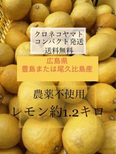 インボイス対応可【良品】広島県産農薬不使用レモン1.2キロのサムネイル